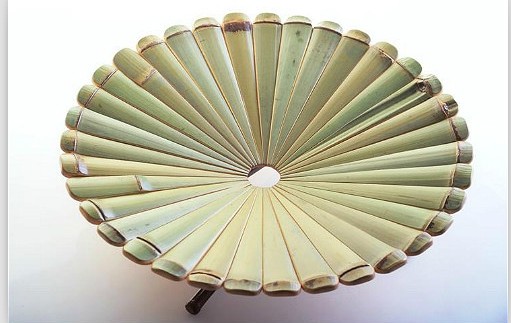 竹產(chǎn)業(yè)復合開(kāi)發(fā)產(chǎn)生裂變效應
